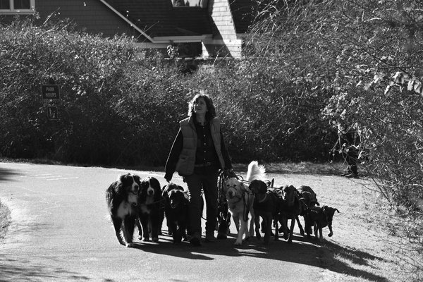 Les meilleurs modèles de caméras de chasse à ne pas manquer