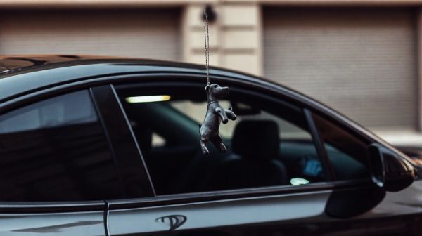 Les meilleurs moyens d'utiliser un chien rigide pour votre voiture